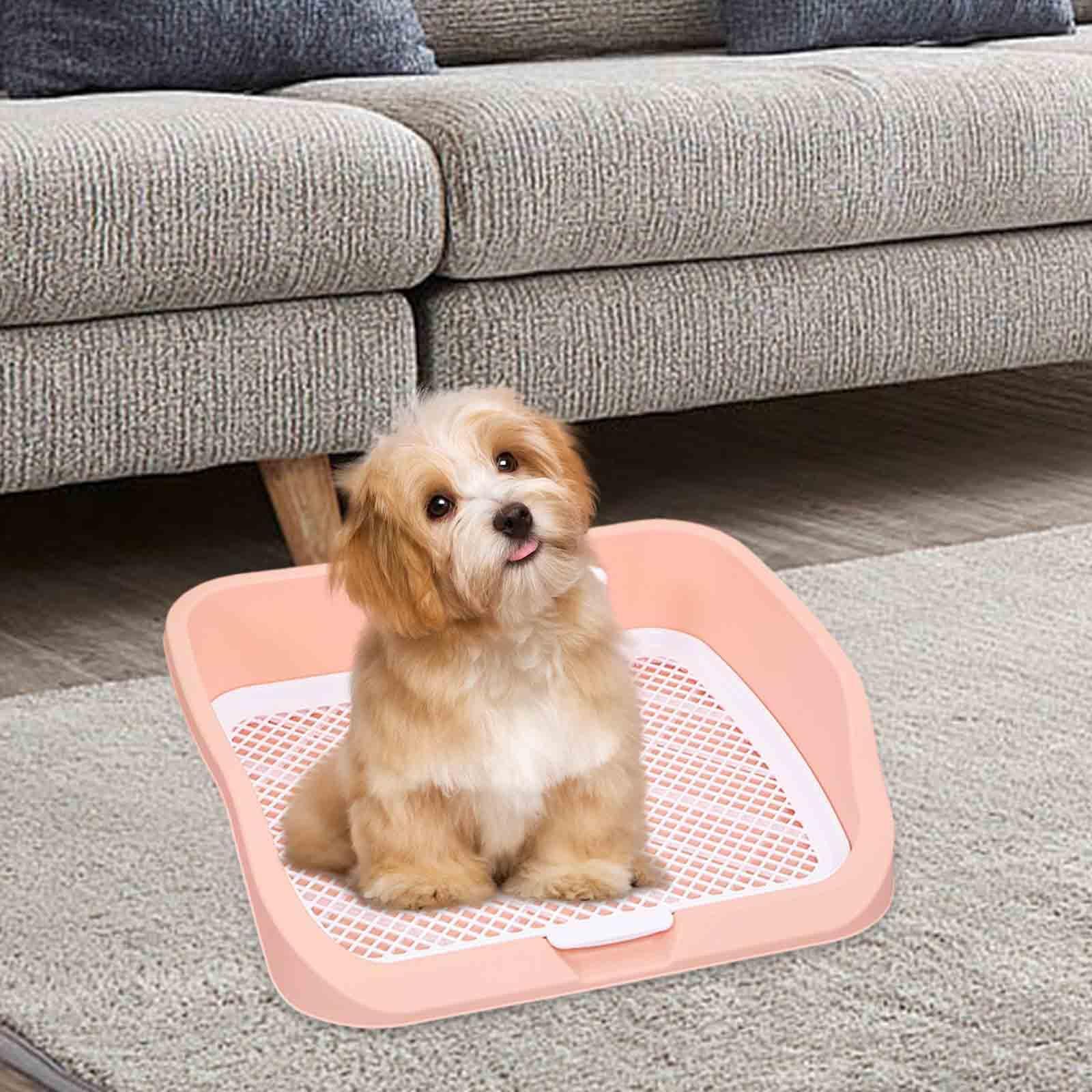 Almohadillas de Entrenamiento para Perros, Inodoro para Cachorros, opción eficiente y Limpia para Interiores con Bandeja de Arena para Perros con