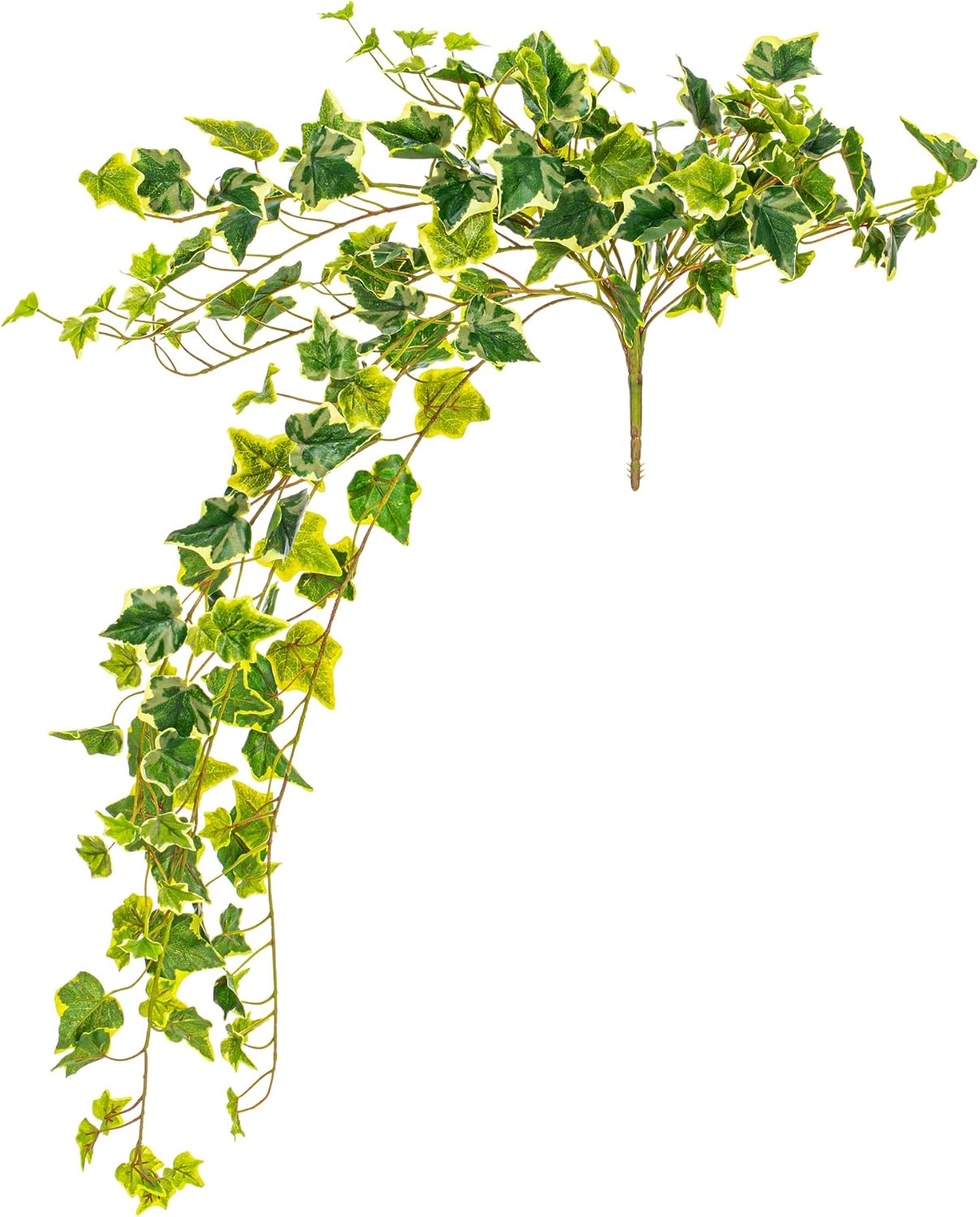 Vickerman Everyday 28" Artificial Varigated Ivy Hanging Bush 2 Pack - Faux Indoor Hanging Plant Bush - Greenery for Home Or Office Decor - Maintenance Free