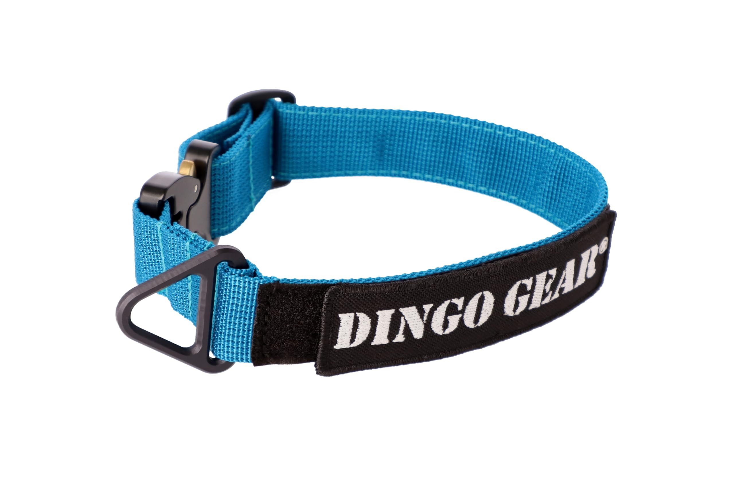 DINGO GEAR Cobra Dog Collar with Professional Safety Buckle, and Label Attached with Velcro-like Fastener