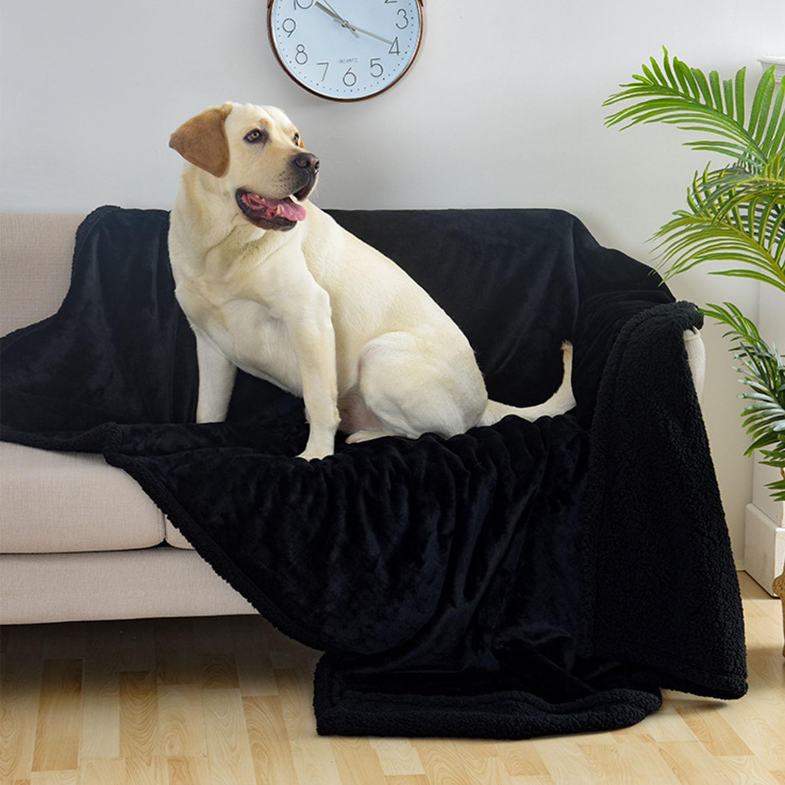 Couverture Imperméable Chien, Plaid Chien canapé Grande Taille, Protection canape Impermeable réversible Douce, Lavable Couverture pour Grand Chien(Couleur:Brown,Taille:100 * 145CM)