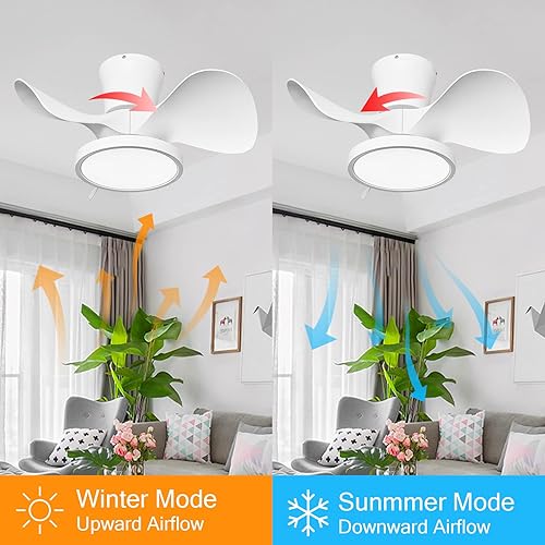 Miniatura 4 de ocioc Ventilador de techo silencioso de 22 pulgadas con luces y ventiladores de techo inteligentes de 18 pulgadas con motor de CC y paquete remoto