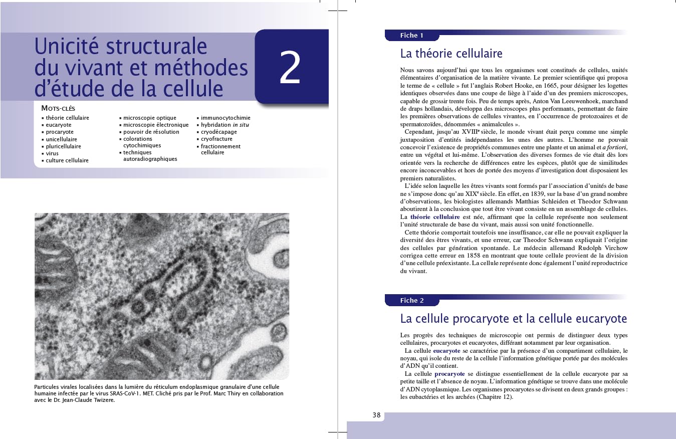 Exercices et méthodes de biologie cellulaire - 4e éd.: Fiches de synthèse, 140 QCM, 360 questions vrai/faux, 80 exercices