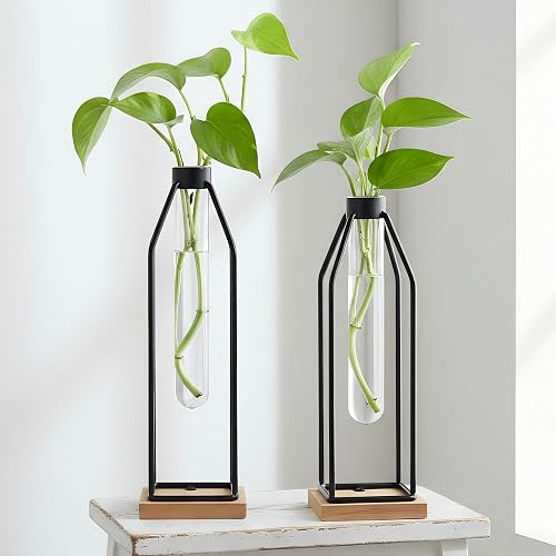Houmury Test Tube Vase Set of 2, 11&12.5 Inch Flower Vases with Iron Stand & Wood Base, for Home Décor, Table Decor, Modern Farmhouse Decor, Hydroponic Plants