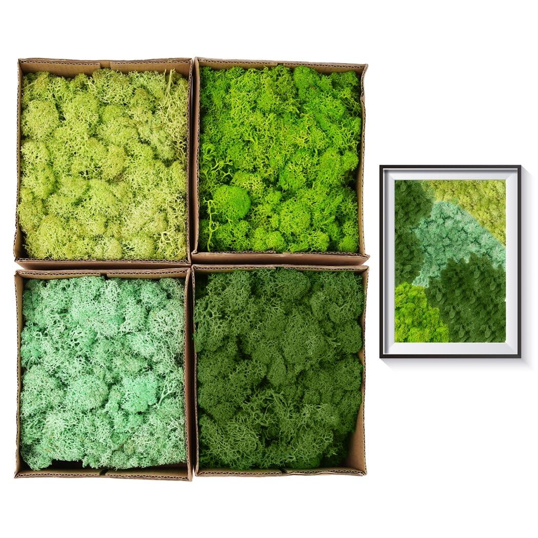 BOSREROY Set of 4 Colored Natural Dried Reindeer Moss, Home Office Decorative Artistic Greenery, DIY Craft Moss Kit, Multi-Hued Preserved Moss Totaling 14oz, Each Box Contains 3.5oz