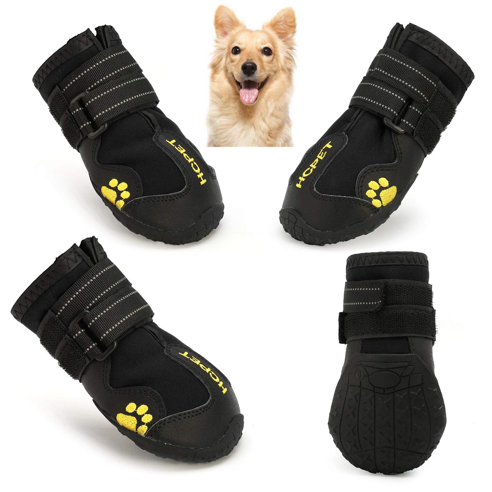 Chaussures pour chiens idéales pour les balades sous la pluie et randonnées nocturnes