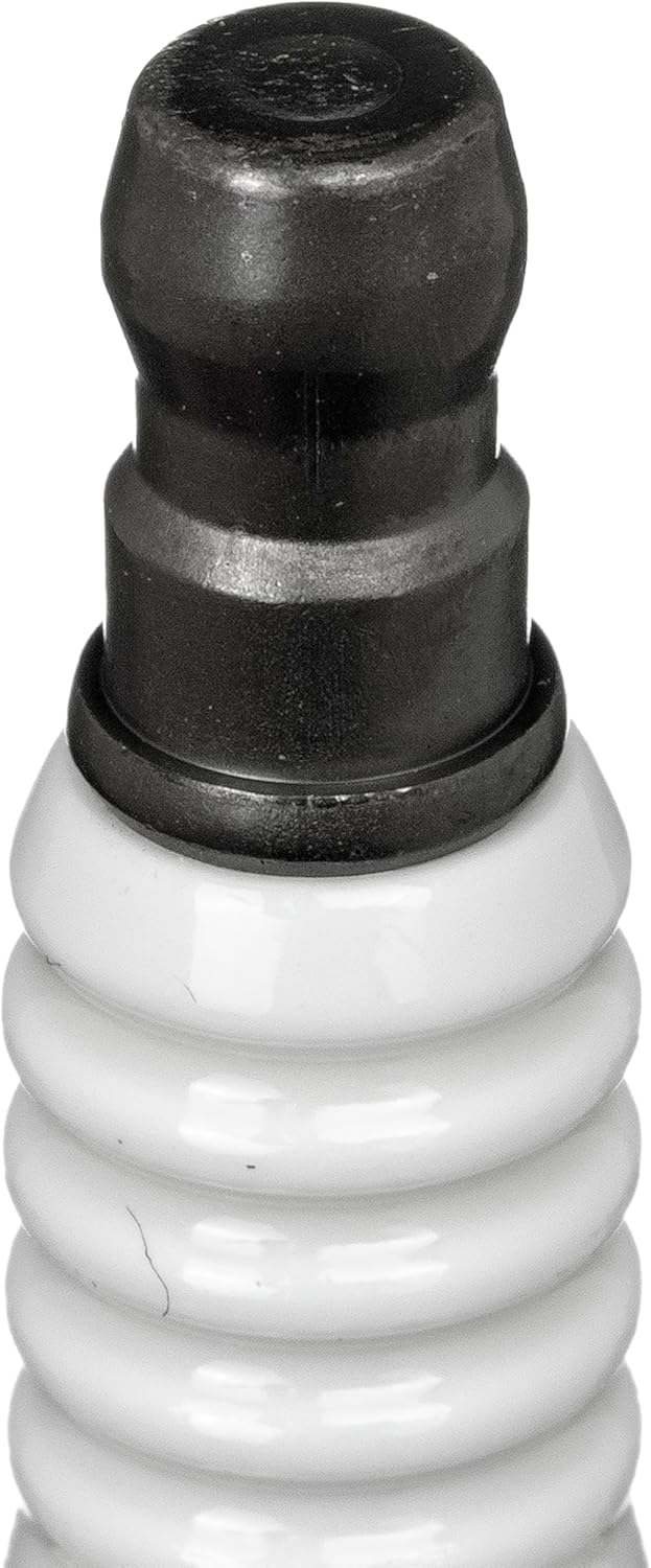 NGK 92743 Spark Plugs, black