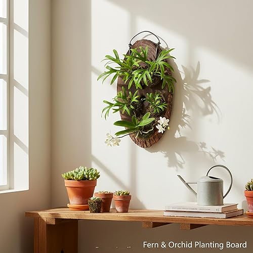 Miniatura 4 de Kit de tabla de montaje de helecho de ciervo de madera, maceta de pared colgante para plantas verticales, platicerio, orquídeas, suculentas (ovalado)