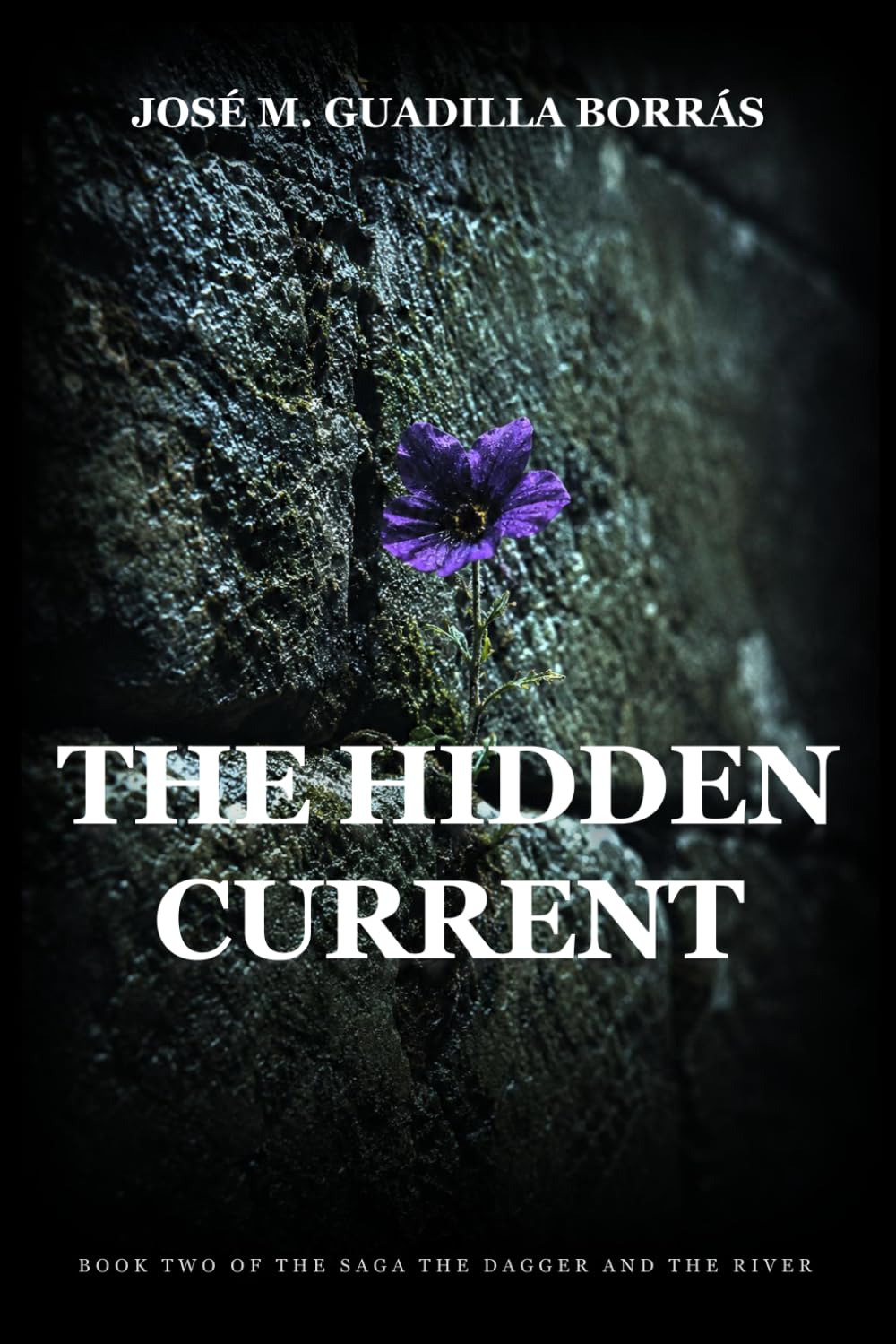 The Hidden Current: An epic historical novel (The Dagger and the River)
