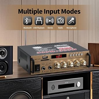 2.0CH Stereo Audio Amplifier Receiver with Active Subwoofer Output,RMS 60W,Max 600W,Home Audio Amplifier,Bluetooth 5.0 HiFi Amp Echo/MIC/USB/SD/AUX/FM for Karaoke-BT-198E