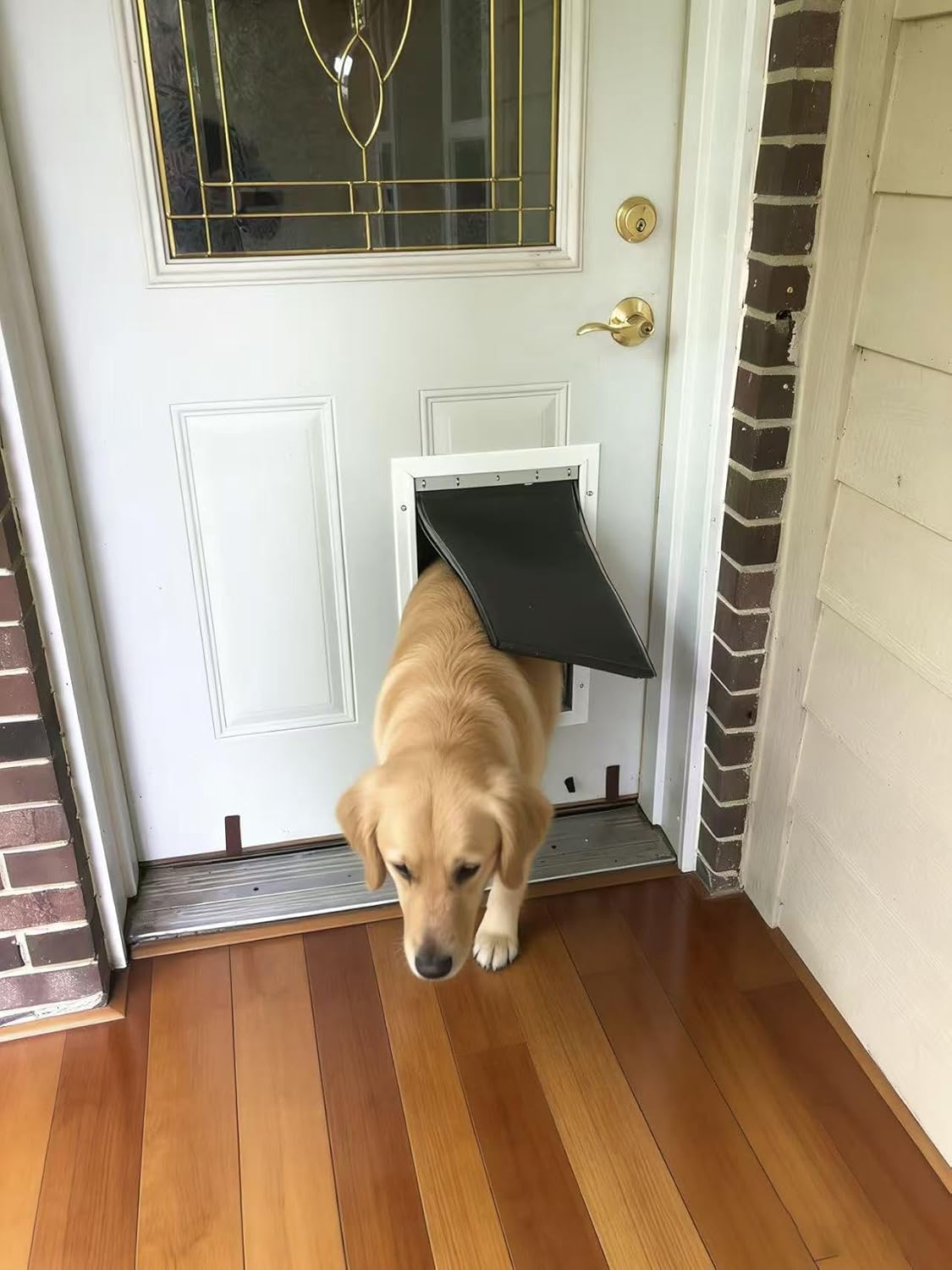 3-Flap Large Pet Door Replacement Insulation Flap with Flap Clamp, Flap Back Plate & Screws, Compatible with Large PetSafe Extreme Weather Aluminum Pet Door, PAC11-11039 (Smoky Translucent)