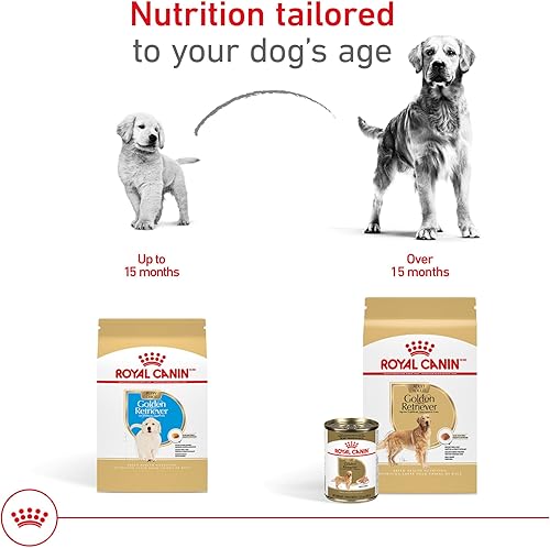 Miniatura 8 de Royal Canin Golden Retriever - Alimento seco para perros adultos, bolsa de 17 libras