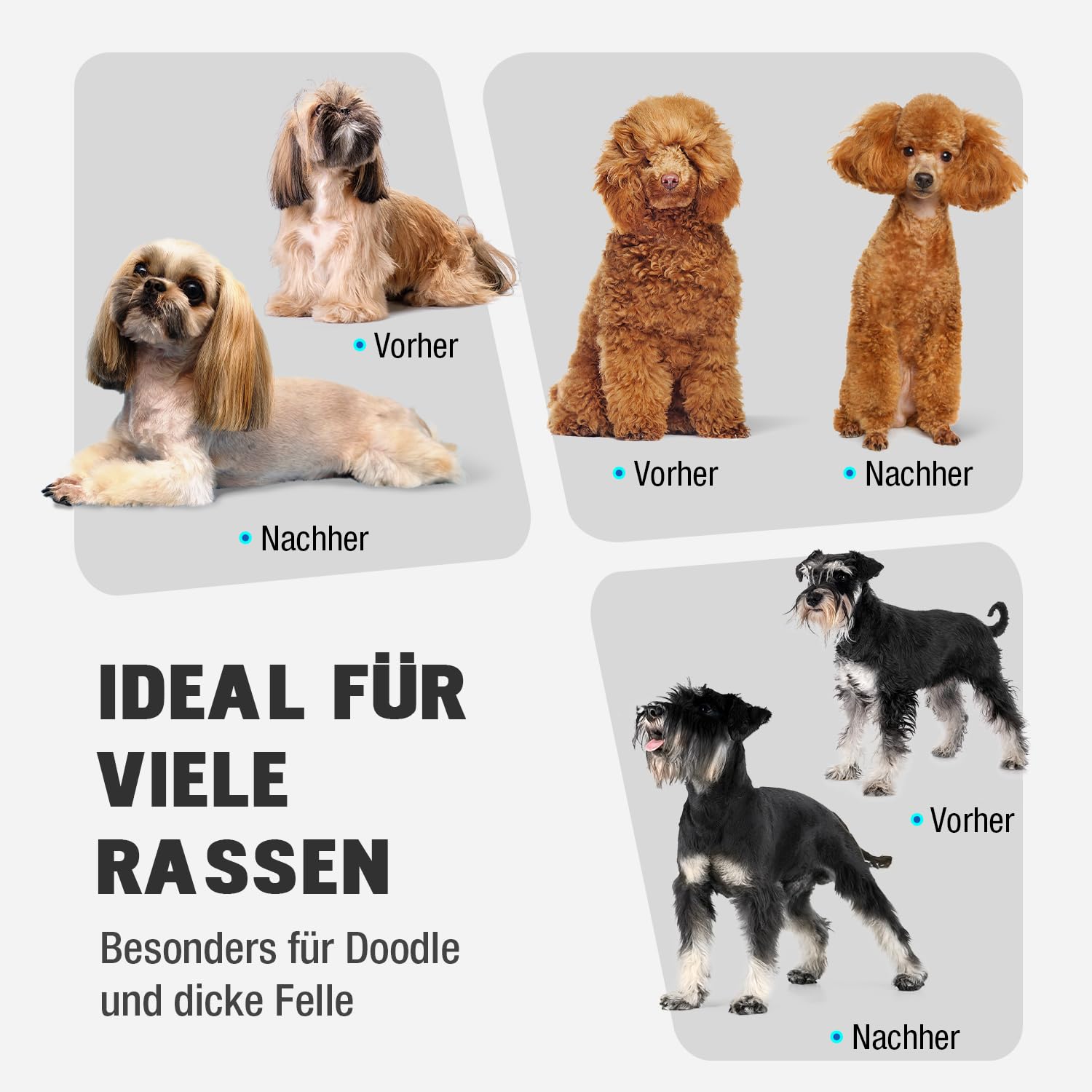 Hundeschermaschine mit Metall-Aufsteckkämme und Abnehmbare Ersatzklinge,Schermaschine Hund Hunderasierer Haarschneidemaschine Profi für Dickes/Lockiges/Feines/Langes/Gewelltes Haar