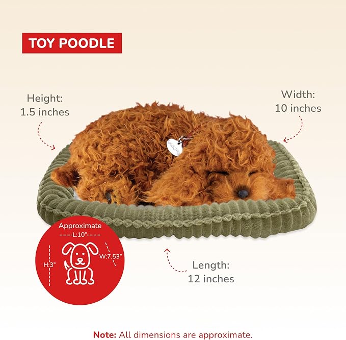 Peluches Poodle Interactivo para Niños y Ancianos miniatura 3