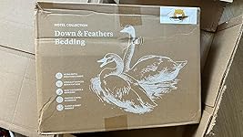 Review Image by Placeholder Placeholder