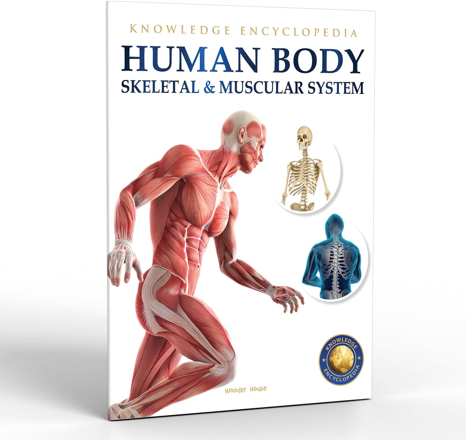 Human Body - Skeletal And Muscular System: Knowledge Encyclopedia For Children