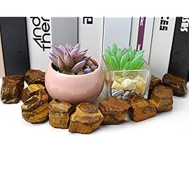 QINJIEJIE Tiger Eye Raw Crystals Stones Natural Rough Gemstones Rocks Bulk Large 0.8-1.2 Gems Reiki Fountain Rock for Tumbling Cabbing Polishing Wire Wrapping Wicca Decoration 0.45 lbs
