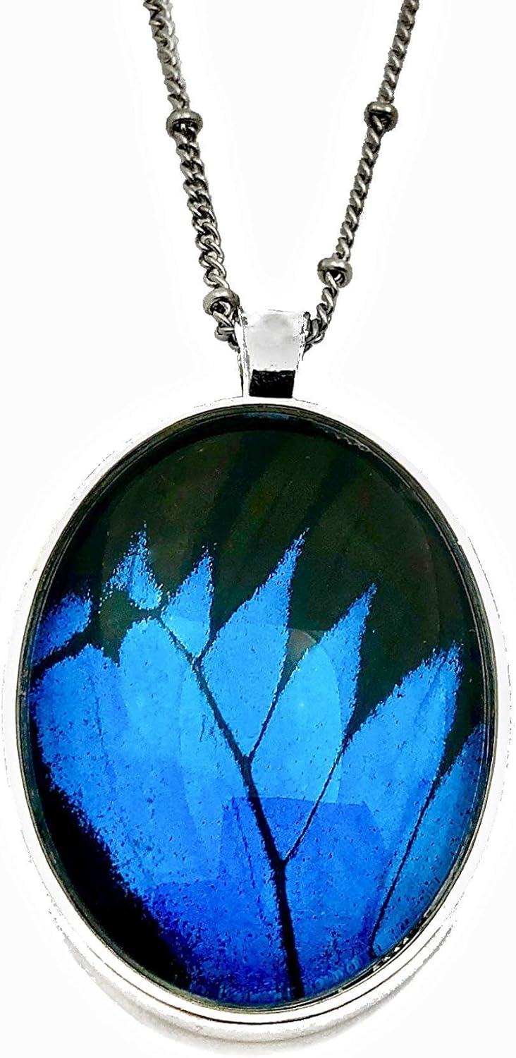 Real butterfly jewelry Insect wing necklace Blue butterfly necklace Bug taxidermy gifts Pressed flower necklace Papilio Ulysses