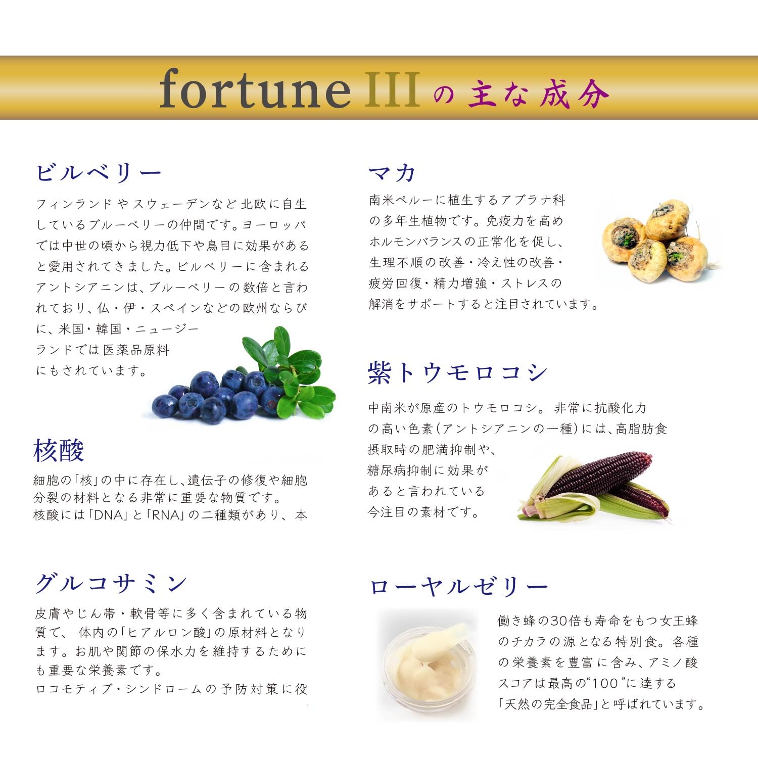 antoku2000 様☆専用 オリヴィス・ステビア-フォーチュンⅢ Amazon | 乳酸菌発酵 ステビアエキス 配合 フォーチュンⅢ 720ml