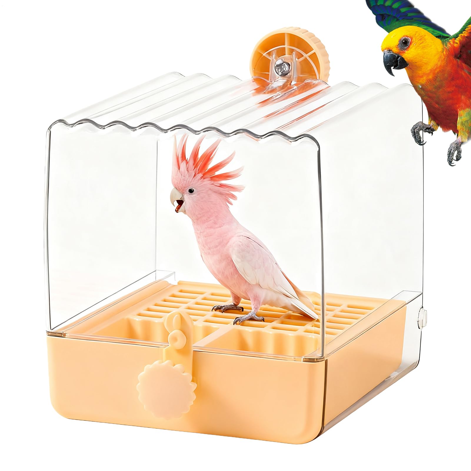 Bain d'oiseaux pour cage anti-clapotis avec bol mangeoire pour perruche