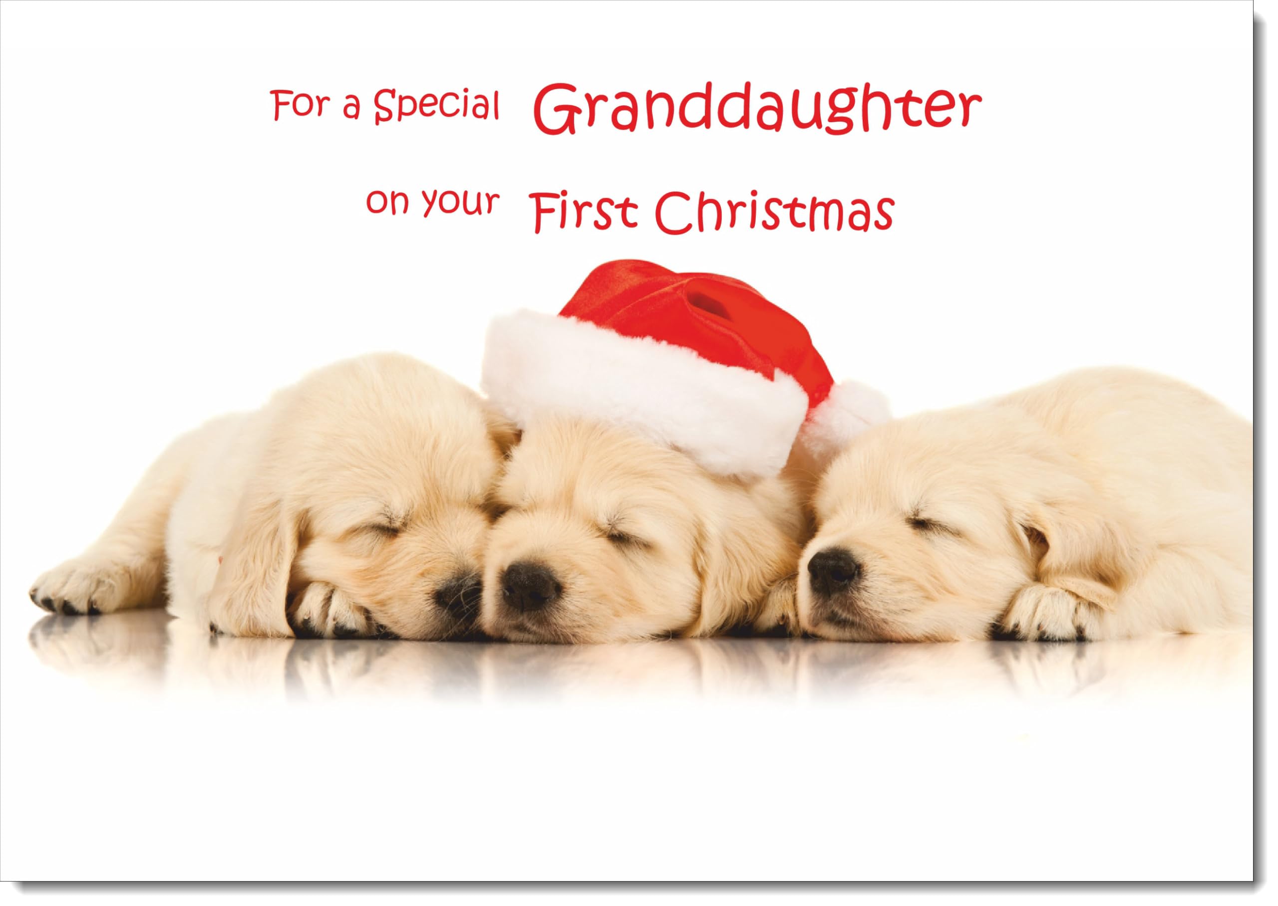 doodlecards Granddaughters 1st First Christmas Card Puppies with Santa Hat Large A4 Size Christmas Card for Granddaughters 1st with Plain Envelope โ image 1