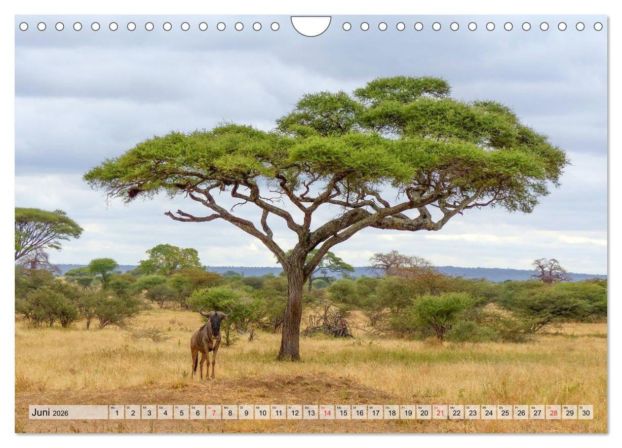 Tansania. Impressionen aus Ostafrika (Wandkalender 2026 DIN A4 quer), CALVENDO Monatskalender: Dieser Kalender nimmt Sie mit in das ostafrikanische ... Länder Afrikas. (CALVENDO Natur)