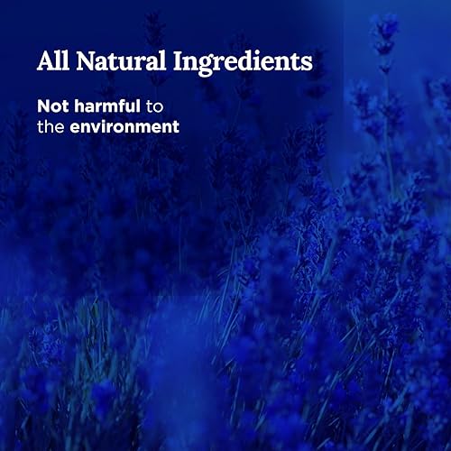 Miniatura 3 de MAGNIFICENT 101 Vela de aromaterapia retrógrada de mercurio, 6 onzas, 30 horas de combustión, vela de lata de cera de soja natural para