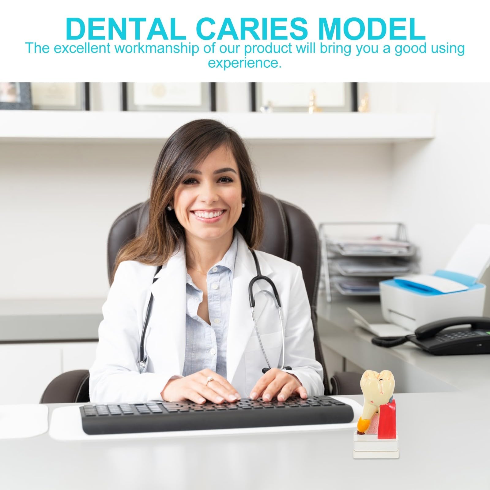 Zerodeko Modèle Anatomique de Carie Dentaire Beige en Résine Portable pour Démonstration Professionnelle des Soins Dentaires par Dentistes