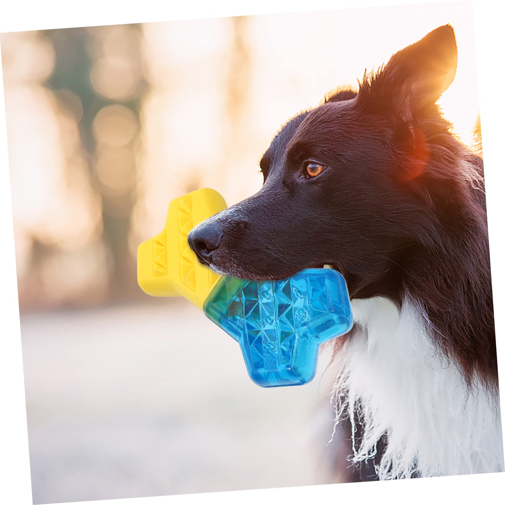 COLLBATH Beißspielzeug Für Hunde Kauspielzeug Hundespielzeug Welpen Fischform Haustierbeißspielzeug Aggressive Kauer Zahnspaziergang