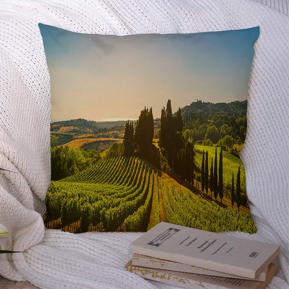 Decorative Polyester Throw Pillow Covers Casale Marittimo Village Olive Vineyards Journey Countryside Landscape Medieval Parks Outdoor Tree Cushion Pillow Covers for Couch Sofa Home Car 20x20 Inch