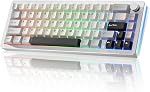 YUNZII AL66 Wireless Mechanical Keyboard,65% Knob Control Aluminum Gaming Keyboard Bluetooth/2.4G/Wired Hot Swappable Pre-lubed Switches, Gasket Mounted RGB Keyboard for Win/Mac(Milk Switch, Silver)