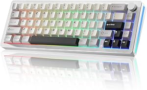 YUNZII AL66 Wireless Mechanical Keyboard,65% Knob Control Aluminum Gaming Keyboard Bluetooth/2.4G/Wired Hot Swappable Pre-lubed Switches, Gasket Mounted RGB Keyboard for Win/Mac(Milk Switch, Silver)