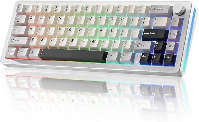 YUNZII AL66 Wireless Mechanical Keyboard,65% Knob Control Aluminum Gaming Keyboard Bluetooth/2.4G/Wired Hot Swappable Pre-lubed Switches, Gasket Mounted RGB Keyboard for Win/Mac(Milk Switch, Silver)