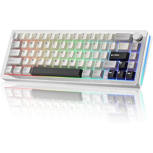 YUNZII AL66 Wireless Mechanical Keyboard,Full Aluminum CNC,65% Knob Control,Bluetooth/2.4G/Wired,Hot Swappable Pre-lubed Switches,Gasket Mounted RGB for Win/Mac(Milk Switch, Silver)