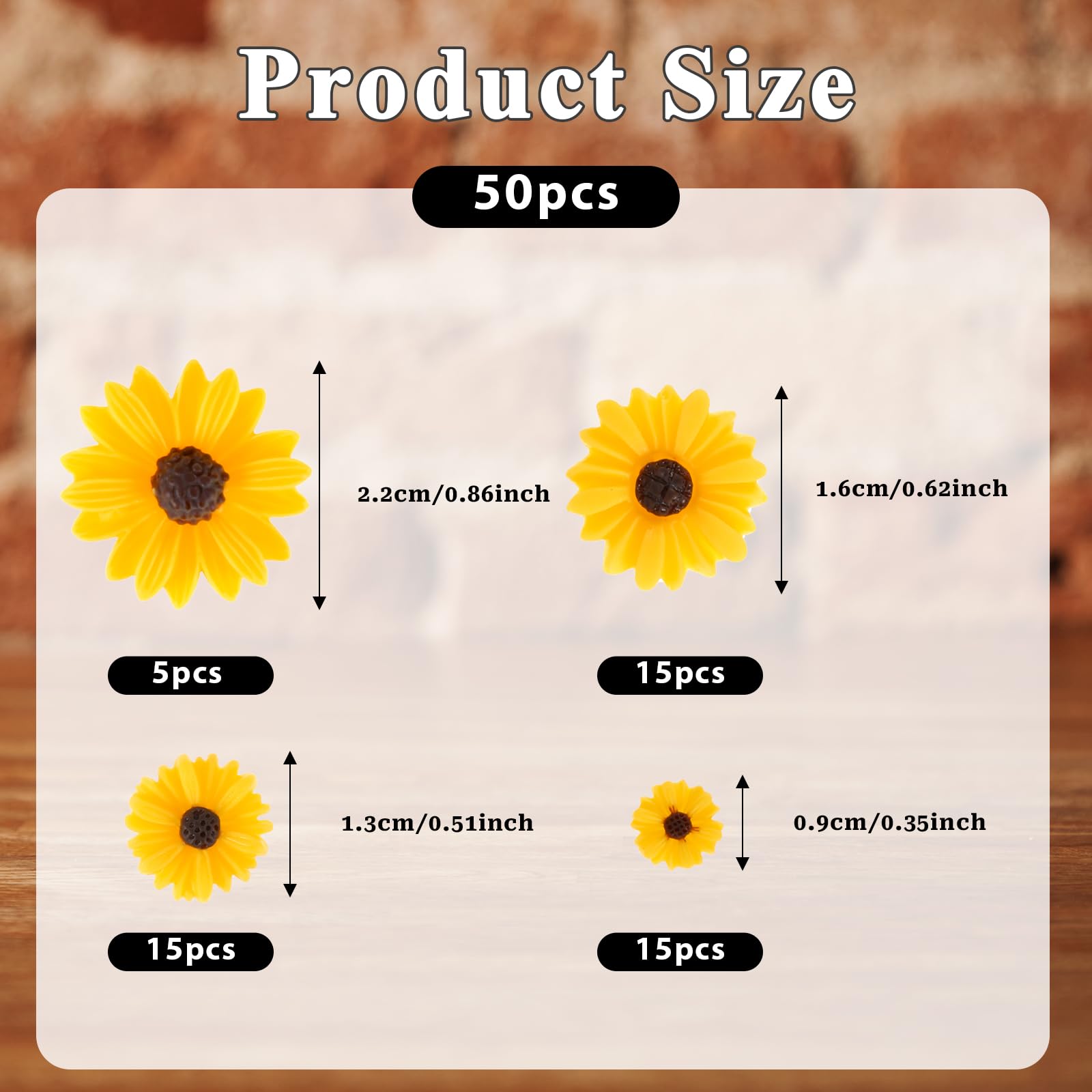Molain 50 Stück Harz-Gänseblümchen – 4 Größen (9–22 Mm), Für DIY, Deko & Handwerk, In Aufbewahrungsbox