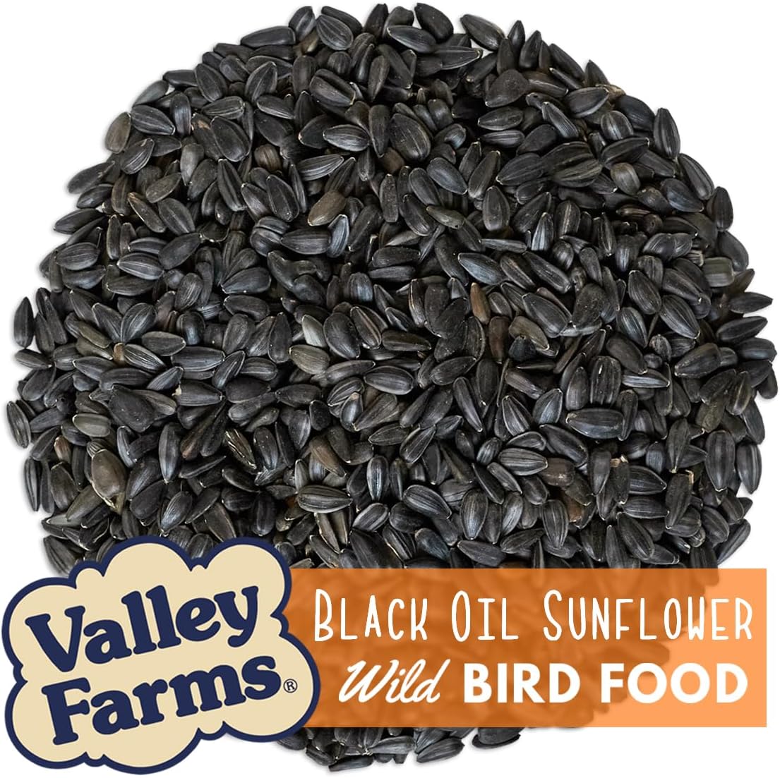 Valley Farms Black Oil Sunflower Seed Wild Bird Food (40 LB) for Outside Feeders, Sunflower Seeds for Birds, Wild Bird Seed for Outside Feeders, Birdseed