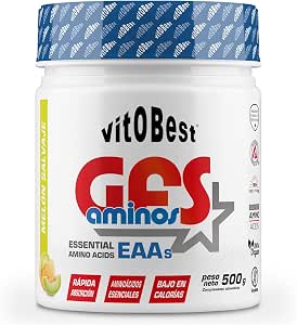 Vitobest GFS Aminos Powder Wild Melon - 500 gr
