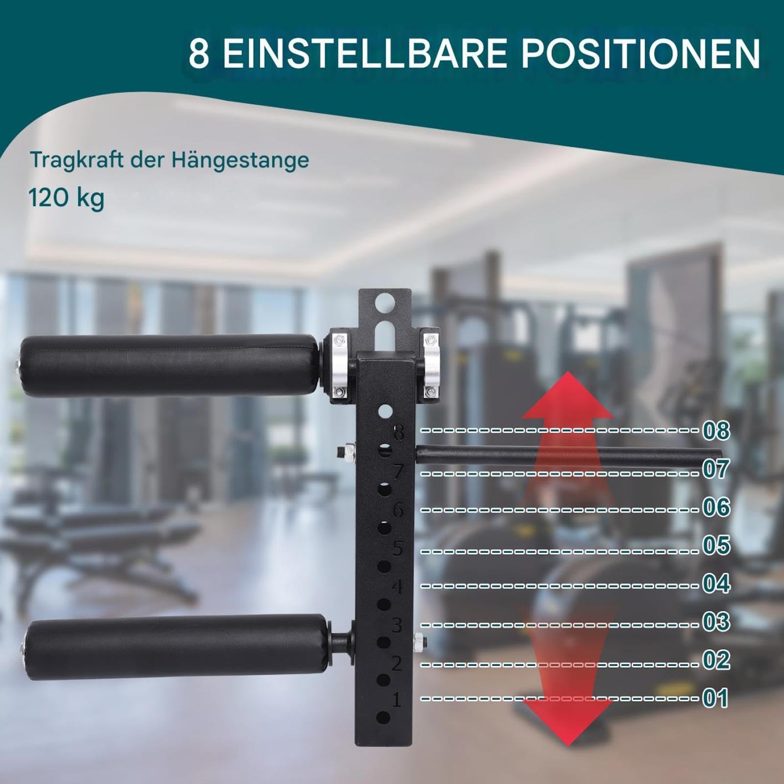Beinstrecker und Curler Verstellbarer Beinstreckeraufsatz Beinbeuger Gerät im Sitzen Maximale Gewichtskapazität 120kg für das Training der Beinmuskulatur (18mm/26mm)