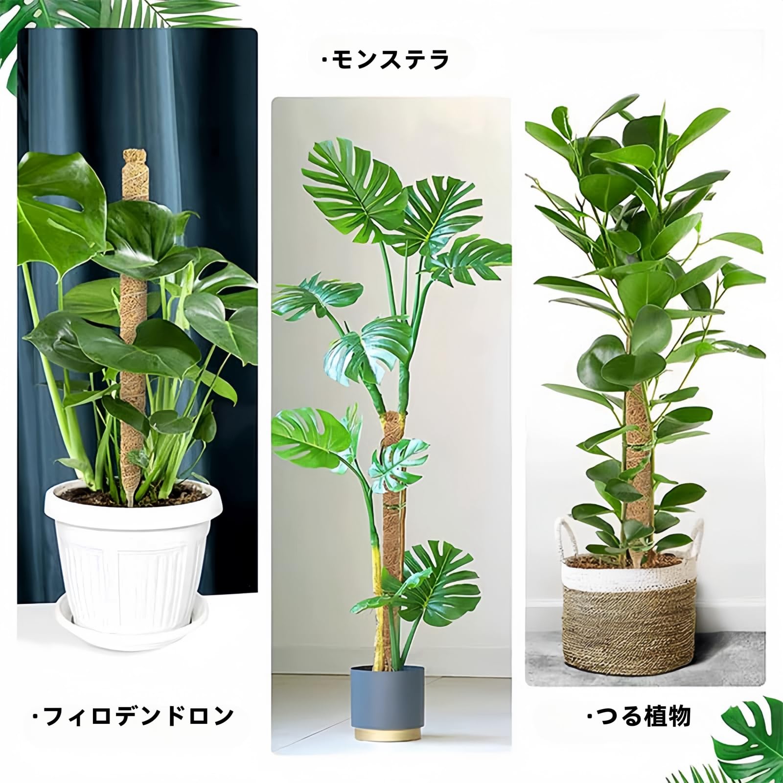 Amazon.co.jp: 2個 ココスティック 園芸支柱 自由に曲げる 観葉植物