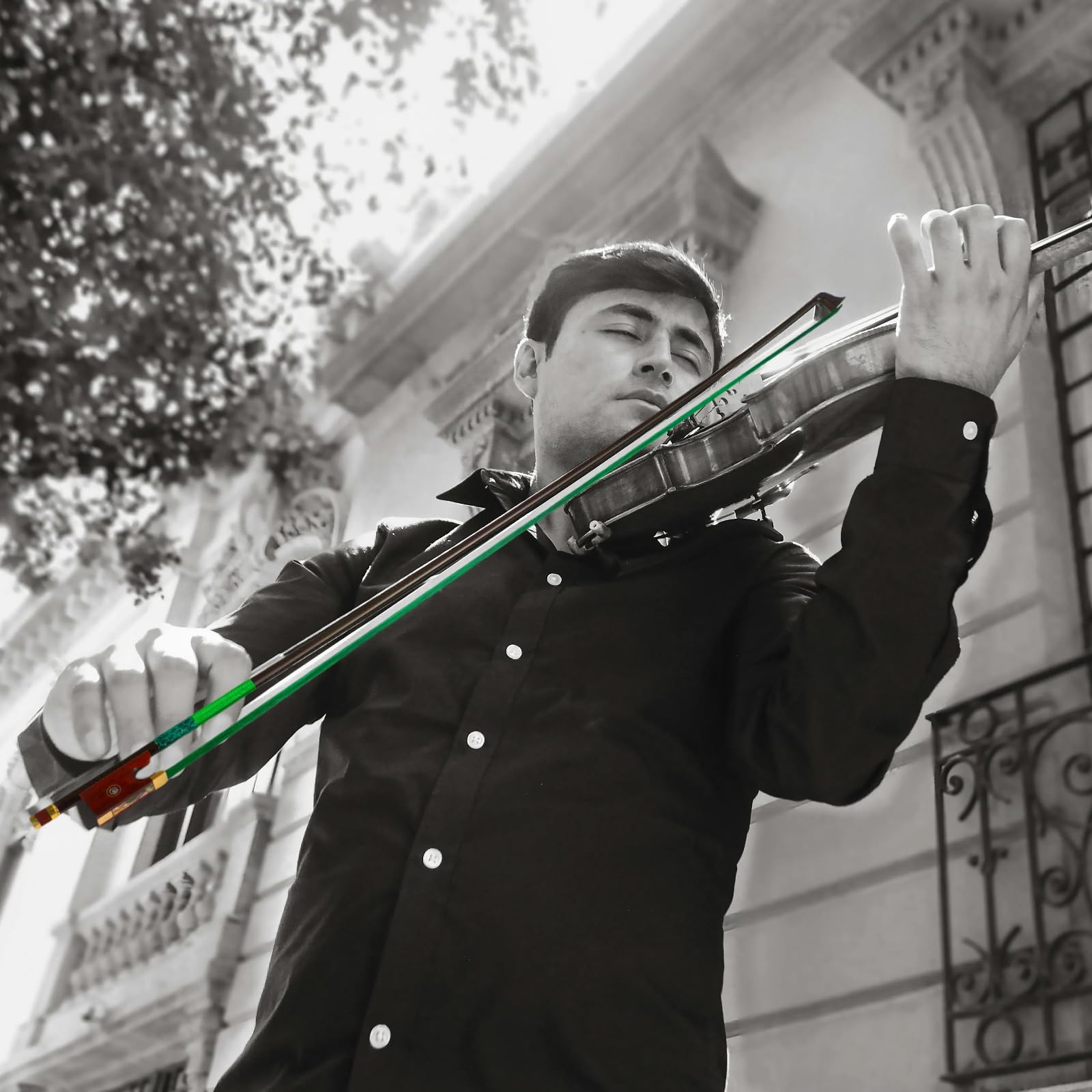 Archet de violon en fibre de carbone 4/4 ultra léger et incassable avec crin de cheval coloré, incrustations de grenouille en bois de serpent et nacre, qualité professionnelle pour les voyages et les