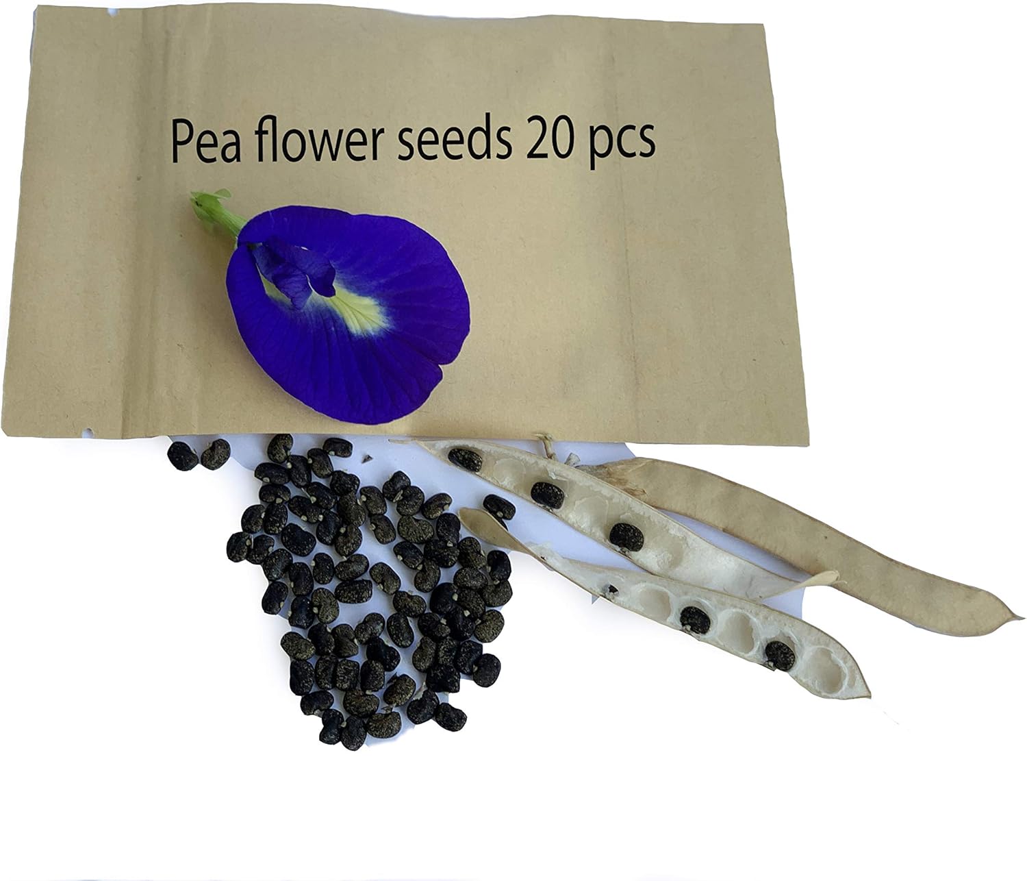 20 Blue Butterfly Pea Plant Flower Seeds Patio, Lawn & Garden