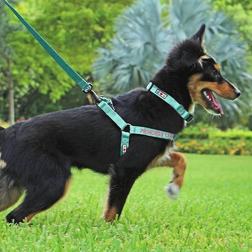 Miniatura 2 de Pawtitas - Arnés personalizado para perro con nombre y número de teléfono arnés ajustable para cachorros razas grandes y cachorros arnés para perros