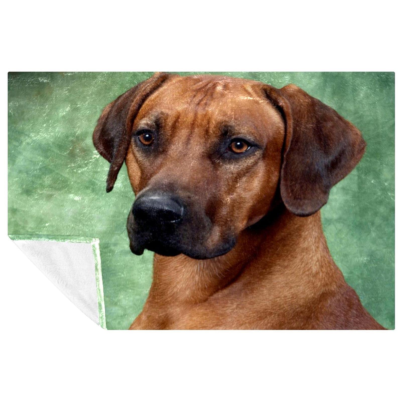 Couverture Rhodesian Ridgeback chaude protège canapé contre poils