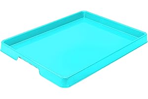 Storex Sorting and Crafts Tray: The Perfect Tray for Kids' Creativity