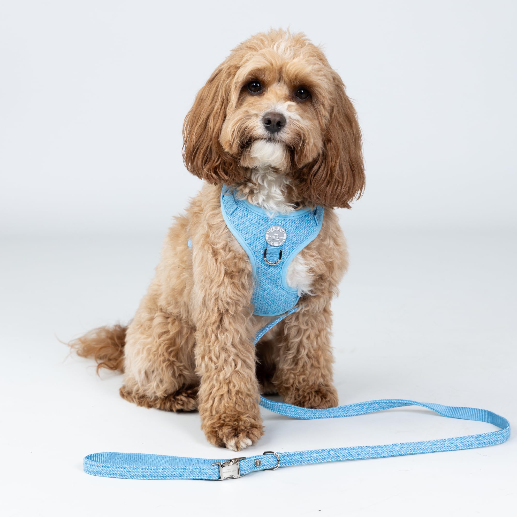 HUGO & HUDSON Tweed Dog Lead, Padded Handle Training Pet Leash, Blue, 1.2m Length x 2.5cm Width, M/L - Image 2