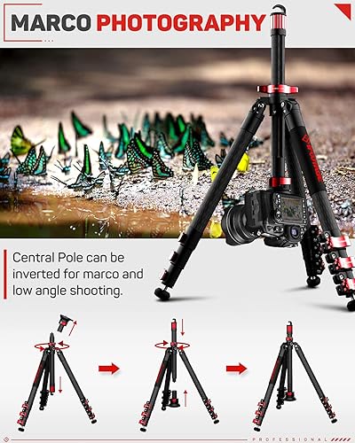 Miniatura 3 de IFOOTAGE Trípode de viaje de 59 pulgadas con placa de liberación rápida, trípode Camrea de fibra de carbono, trípode de video ligero, compatible con