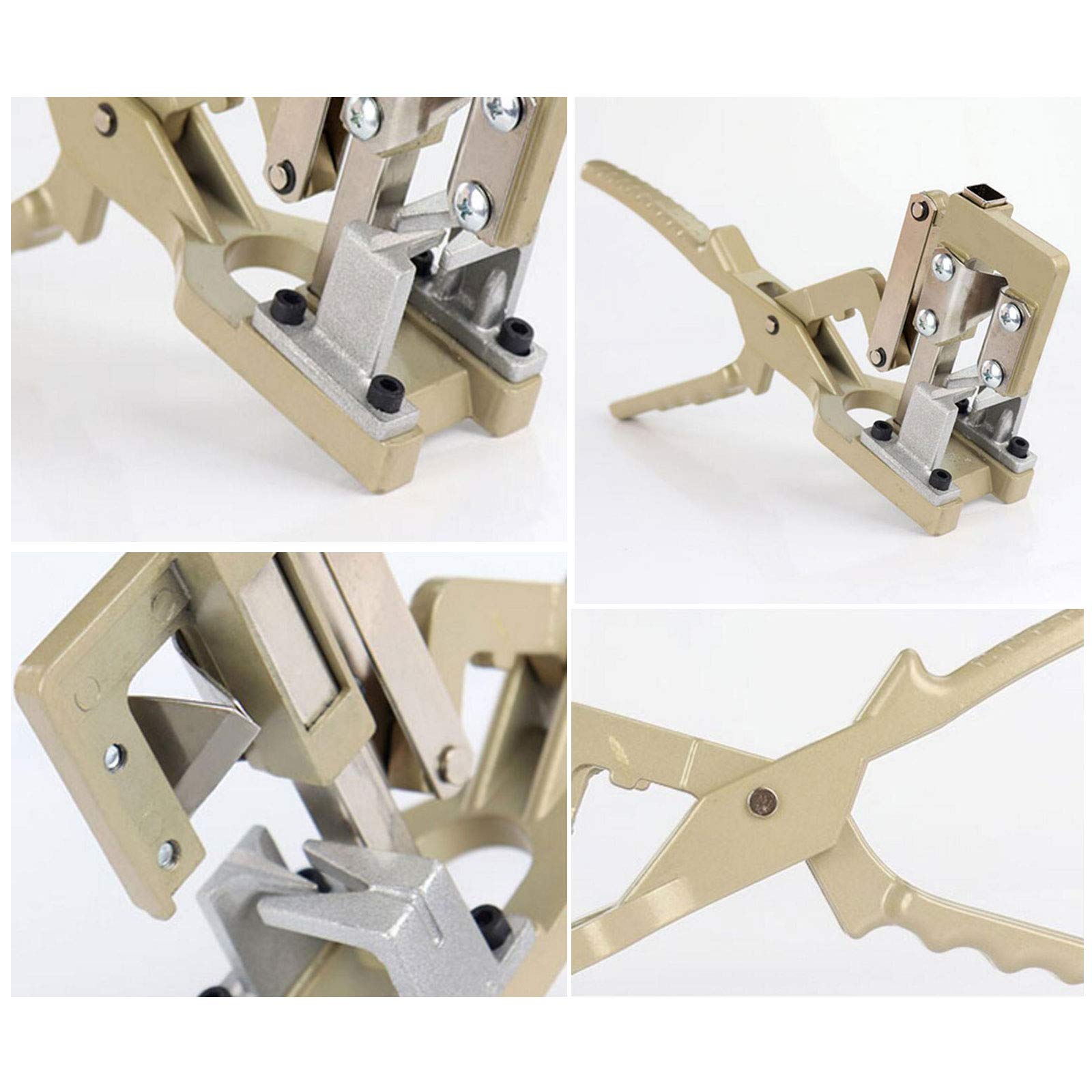 Attrezzi da Giardino Innesto Pruner Kit Chopper Albero Pianta Shears Scissor Graft con Film Tape Garden Tools, Alto Tasso di Sopravvivenza, Facile da Usare