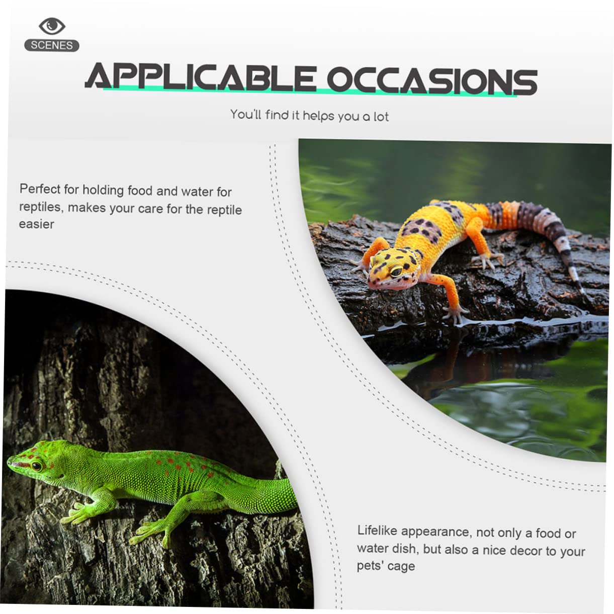 VANZACK 12piezas Tazón De Alimentación para Reptiles De Comida y Agua Accesorios para Terrario para Tortuga y Material De
