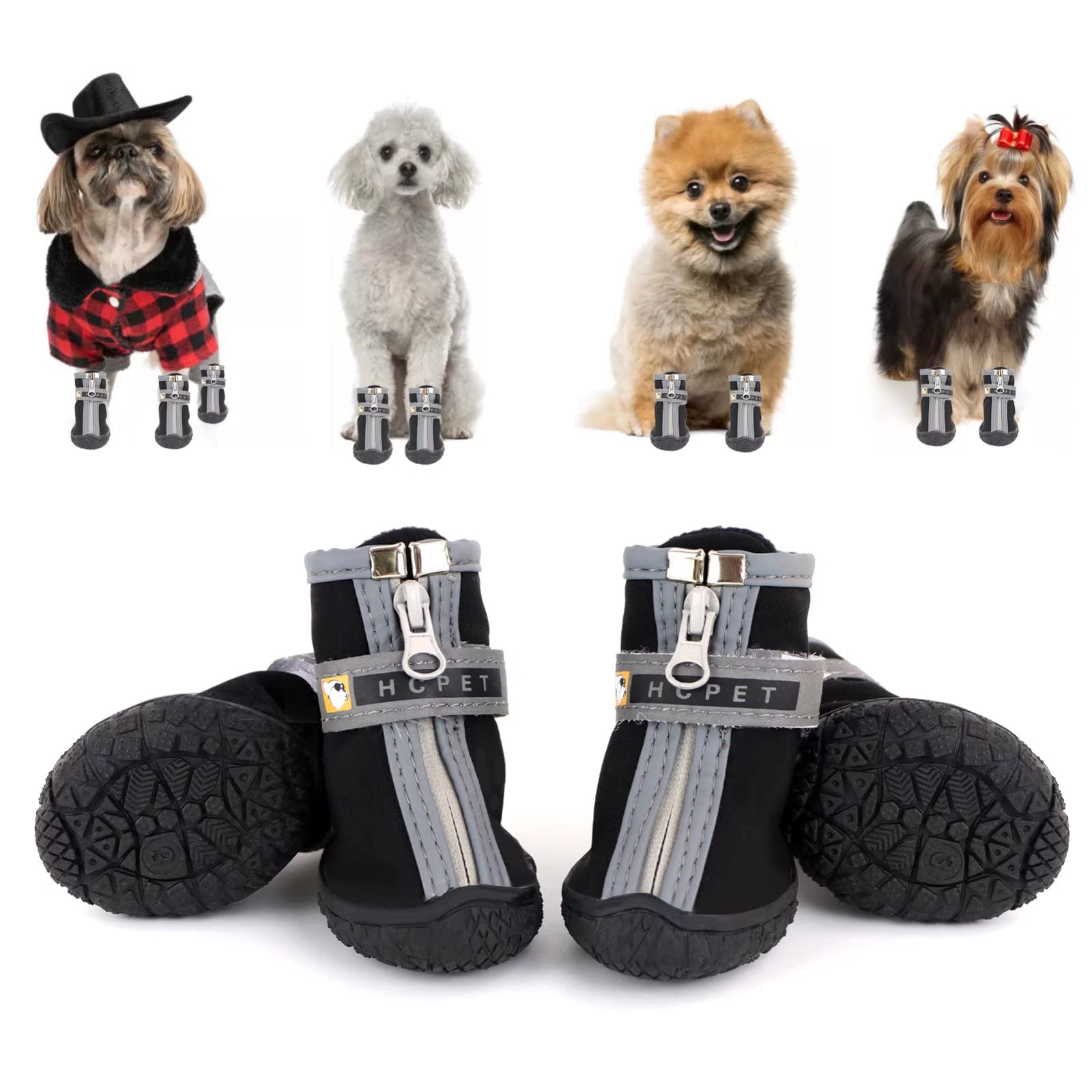 Do Rocks Hurt Dogs Feet