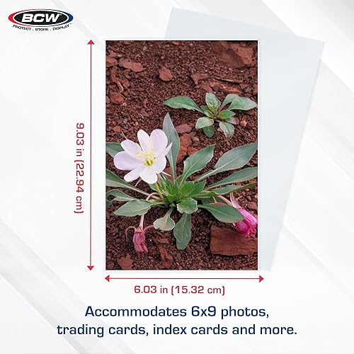 Miniatura 3 de BCW Fundas para fotos de 6 x 9 (100 unidades), sin ácidos, sin PVC, para álbumes y almacenamiento, plástico transparente, perfectas para carpetas y