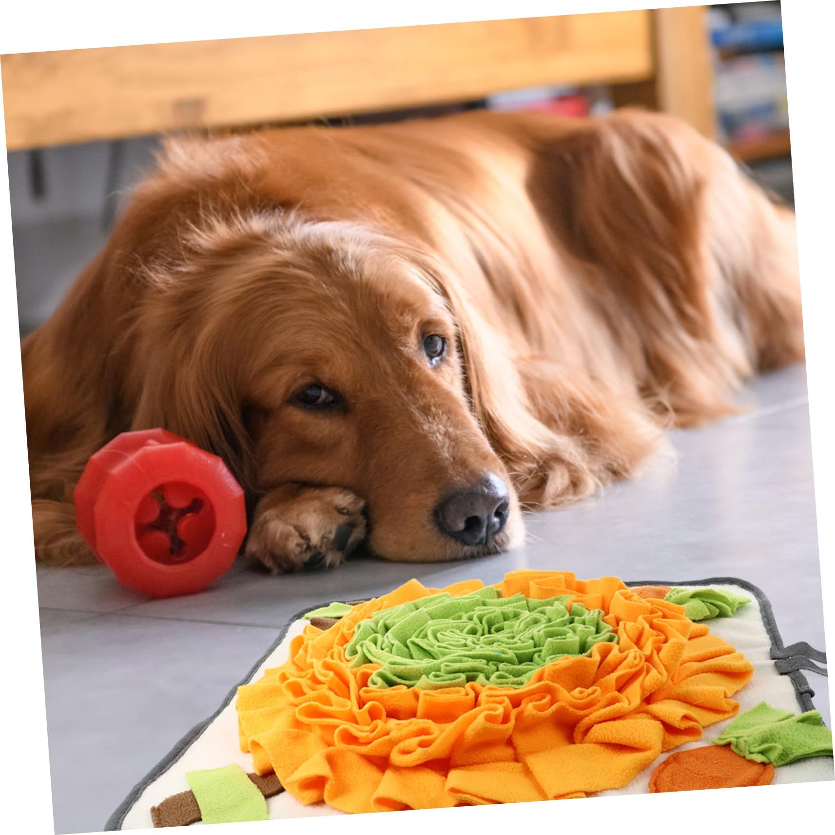 Hundesnuffle Matte zum Verstecken von Futter Langsam Fressende Waschbare Futtermatte für Hunde Stressreduzierendes Beschäftigungsspielzeug für Zuhause Fördert Training und